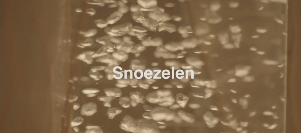 snoe